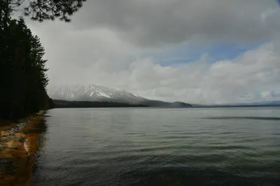 DSC_6771 (Large).JPG